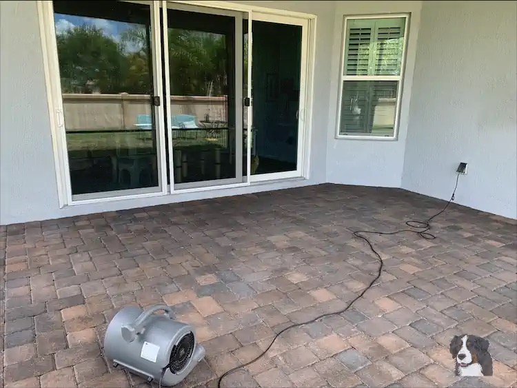 Cleaned and not sealed Back Lanai Pavers Dry 3.webp