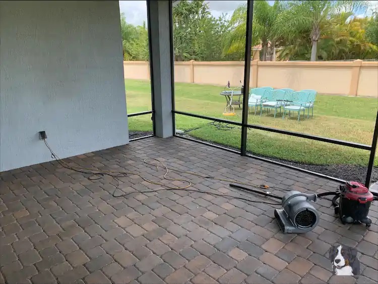 Cleaned and not sealed Back Lanai Pavers drying.webp