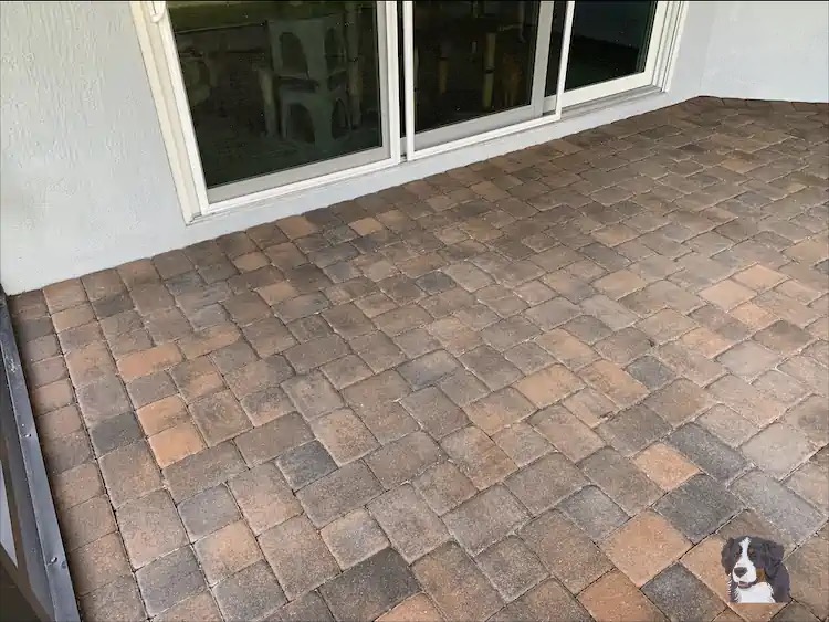 Cleaned and not sealed Back Lanai Pavers.webp