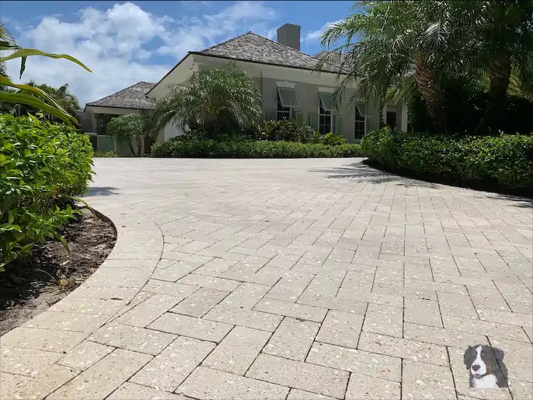 Cleaned n Sealed Pavered Driveway Matte.webp