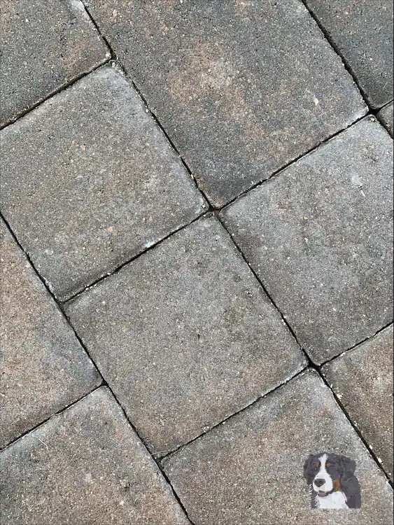 Cleaned Paver Block.webp