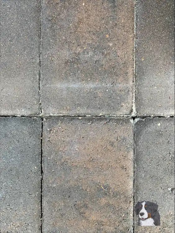 Dirty Paver Block.webp