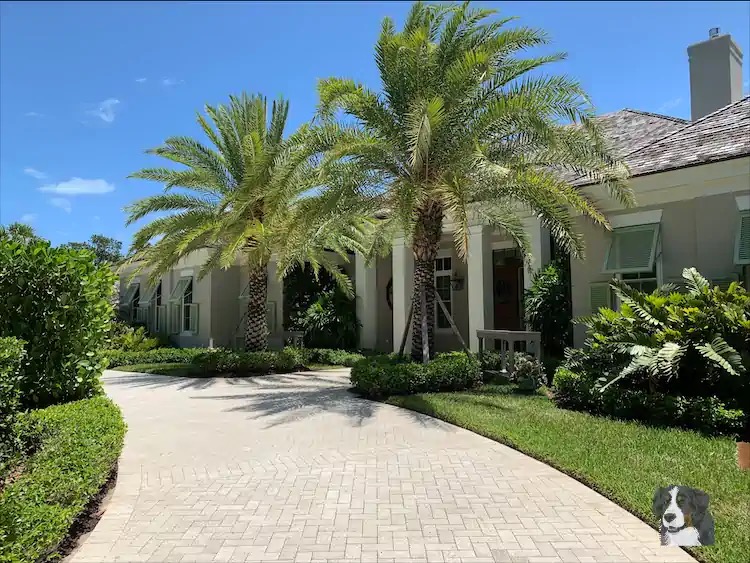 Driveway n Garage Cleaned.webp