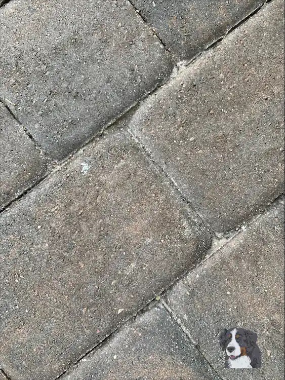 Pavers Dirty.webp